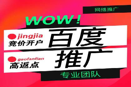 竞价托管全流程：某行业领军企业的成功经验
