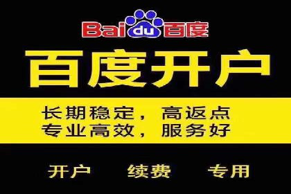 成功SEM推广代运营案例展示